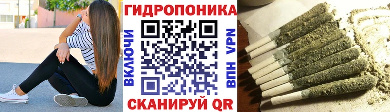 Хочу наркоту Кириши A PVP  Меф  Галлюциногенные грибы  Каннабис  ГАШИШ 