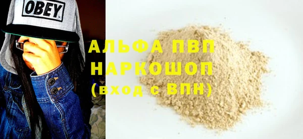 ECSTASY Богданович