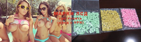 ECSTASY Богданович