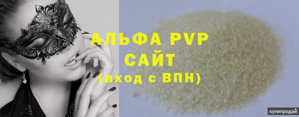ECSTASY Богданович