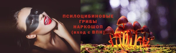 мдма Богородицк
