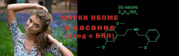 гашик Богородск