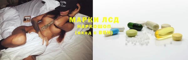 гашик Богородск