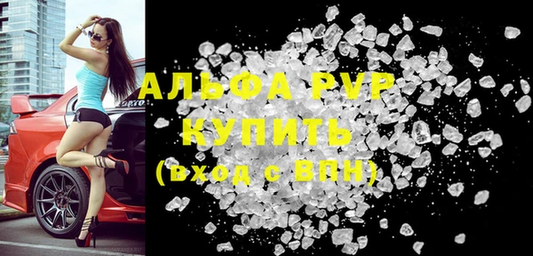 ECSTASY Богданович