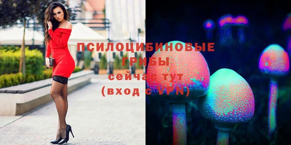 ECSTASY Богданович
