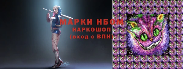 гашик Богородск