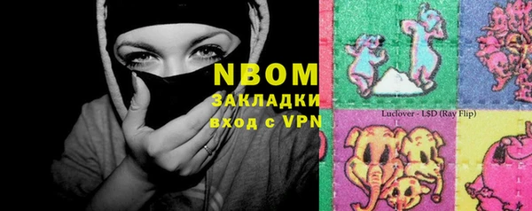 гашик Богородск